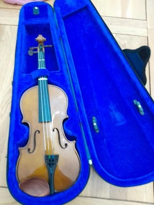 The Stentor Student 1 Violin 3/4 Size with Blue & Purple Stentor Carry Case - image 1 of 4