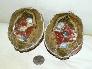 Pair Thunder Egg Agate from Patagonia Argentina * rare * collector piece - Picture 1 of 5
