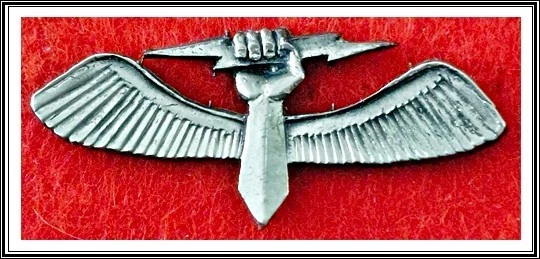 israel army idf intelligence force Segev course of unit 8200 (ITׁ)  lapel pin - Image 1 of 1