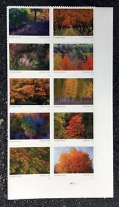 2024USA #5929-5938b Forever Autumn Colors - Plate Block of 10 - Right Side mint - Picture 1 of 1