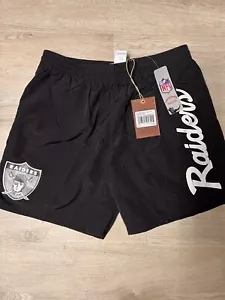Mitchell & Ness Las Vegas Raiders Essentials Nylon Shorts - Men's Medium - NWT - Picture 1 of 1