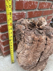 Manzanita Root Burl Wood Projects Casting Turning - Picture 1 of 20