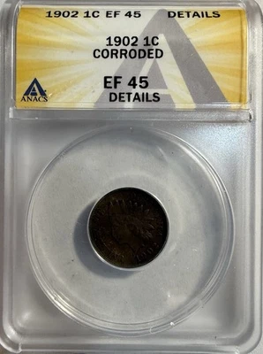 1902 Indian Head Cent - ANACS EF 45 Details - Freshly Graded / New Holder - Image 1 of 4