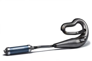 MARMITTA SCARICO ESPANSIONE CON SILENZIATORE MALOSSI TOO BAD PIAGGIO SI 3218786 - Imagen 1 de 2