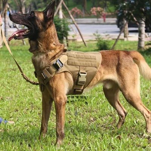 Großes Hundegeschirr und Leine Set Haustier Deutscher Schäferhund Malinois Training Gassi - Bild 1 von 39