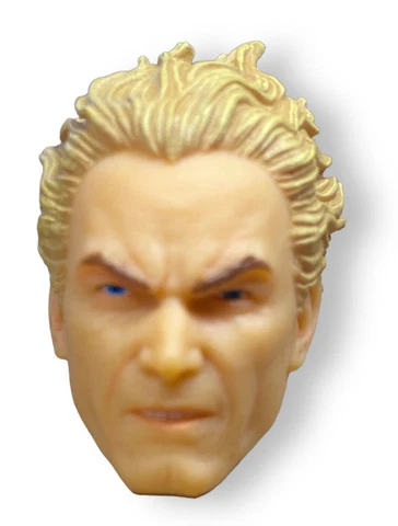 Mezco One:12 Aquaman - Swimming Head Sculpt DC Comics 1:12 Scale Custom Fodder Cover