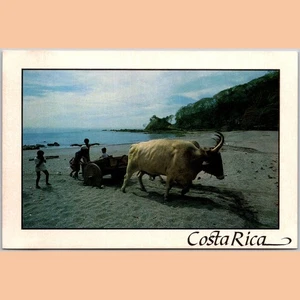 Postcard Montezuma Beach Guanacaste Costa Rica Oxen Cart - Imagen 1 de 4
