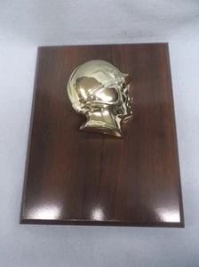 plaque racing helmet driver cherry finish 7 x 9 board trophy award winner - Picture 1 of 1