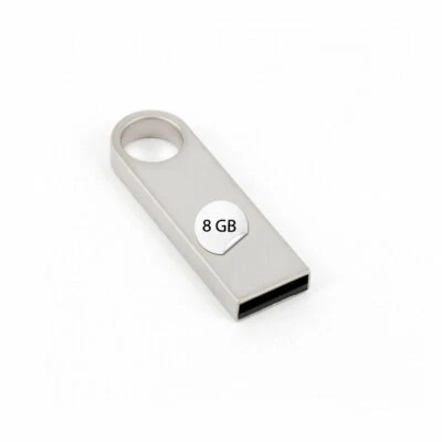 CLE CARDAN LIGHT EUROPE USB Stick 8 GB Metall Schlüsselanhänger Silber