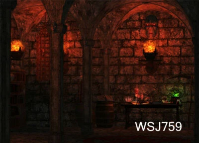 Horror Basement Backdrop Halloween Magic Experiment Background Studio Props - Image 1 of 4