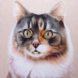 Anastasia Woron: "El Gato.El Basilio." - Óleo Original Firmado (60x60 cm.) 2024 - Picture 1 of 24