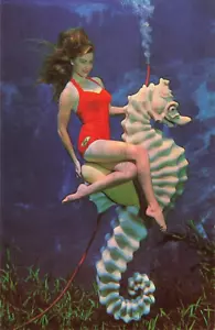 Postcard Weeki Wachee FL Live Mermaids Women Fish Tails Red Suit Riding Seahorse - Picture 1 of 3