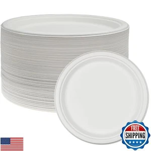 NYHI 125 Confezione Piastre Monouso Carta Resistente Compostabili 10 Pollici Bulk per - Foto 1 di 4