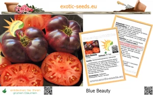 🍅 Tomate - Blue Beauty - Tomate de carne picante - 10 semillas con etiqueta - Imagen 1 de 5