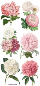VIOLETTE STICKER - PINK PEONY PARTY - 7 3/4" x 3 3/4" 19.5 cm x 9.5cm - Picture 1 of 1