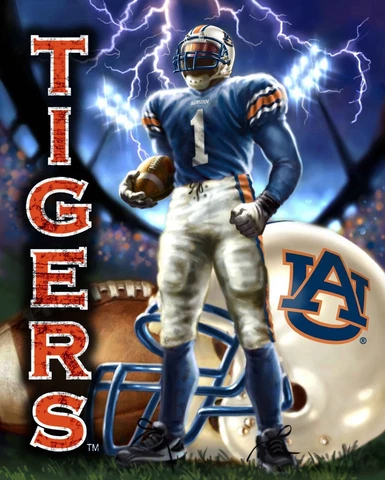 TIGERS - AUBURN UNIVERSITY BLANKET FLEECE SOFT THROW  NWT Cover