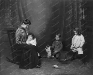 Bird Cat Gets In Trouble  8x10 Reprint Of Old Photo - Picture 1 of 1