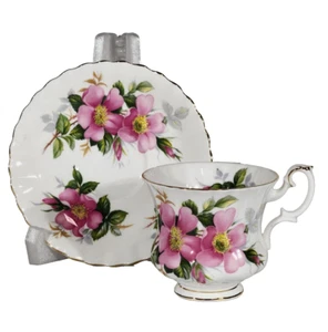 Royal Albert Teetasse Untertasse Prairie Rose Montrose Bone China rosa Blumen Vintage - Bild 1 von 9
