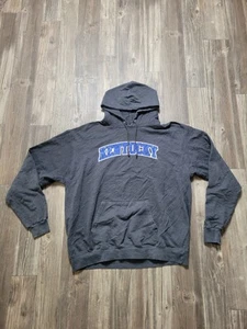 Champion Kentucky Wildcats Hoodie Mens XL Big Blue Basketball College NCAA Gray - Picture 1 of 8