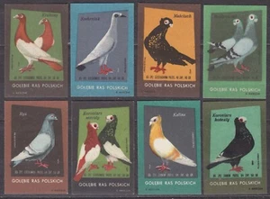 POLAND 1965 Matchbox Label Z#631/38 set, Polish pigeons. - Imagen 1 de 1