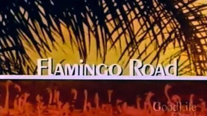 Flamingo Road - The Complete Series on DVD - Image 1 of 1
