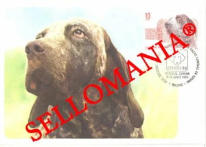 1983 TARJETA MAXIMA CARD PERROS DE RAZA PERDIGUERO DE BURGOS DOGS 2711 TC22726 - Imagen 1 de 1