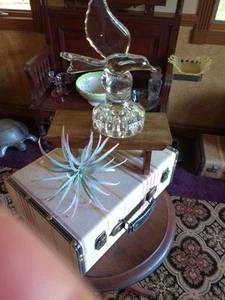 Vintage handmade Cambridge clear glass flower frog Flying sea gull 3D effect - Picture 1 of 7