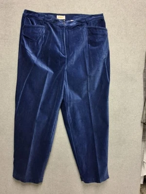 Talbots Blue Velour Velvet Curvy Pants Stretch High Rise Skinny 20W( 3)Pockets - Image 1 of 4