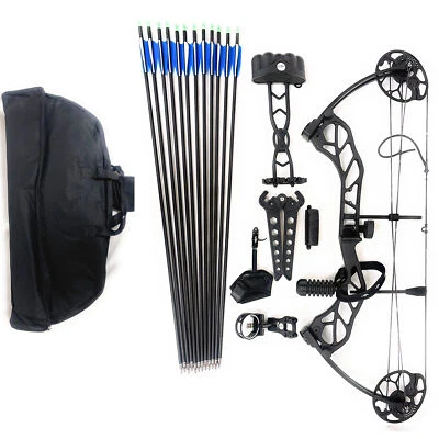Southland Archery Supply Destroyer II 70Lbs 31" ATA Compound Hunting Bow Package - Image 1 of 4