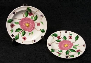 Paar Cumberland Geschirr handbemalt Blumen Ersatzteller Untertasse  - Bild 1 von 7