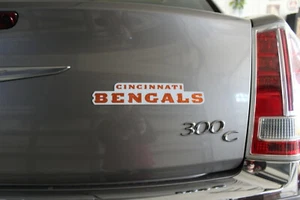 Cincinnati Bengals Colorful Team Magnet Words NFL Football Made in USA  - Picture 1 of 4