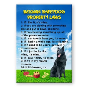 BELGIAN SHEEPDOG Property Laws MAGNET Groenendael Funny - Picture 1 of 1