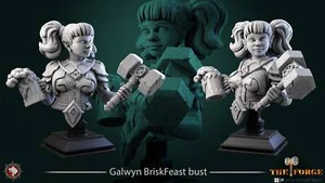 Galwyn BriskFeast - Busto | Miniaturas DnD | Miniatura para juegos de mesa | - Imagen 1 de 2