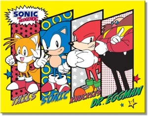 Sonic The Hedgehog Platten Blechschild (12,5" x 16") - Bild 1 von 6