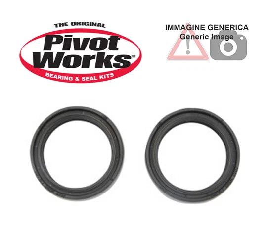 Kit paraoli forcella Honda XR250 TORNADO (EURO) 2001-2002 PIVOT WORKS PWFSK-Z019 - Immagine 1 di 1