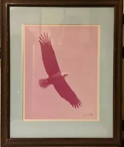 Aquila in volo fotografia firmata da Ron AUSTING incorniciata opaca sotto vetro - Foto 1 di 8
