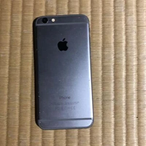 Iphone 6 Space Silver - Afbeelding 1 van 2