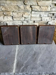 Nuevas placas de premio de madera y acrílico LOTE DE 3 8x10 colgador de pared marco de exhibición de fotos - Imagen 1 de 14