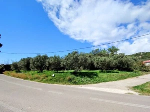 Grundstück im Paradies in der Nähe der Stadt Zacharo/Wes.Peloponnes/Griechenland - Bild 1 von 24