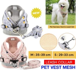 Kitten Dog Cat Harness and Leash for Walking Adjustable Soft Pet Vest Collar AU - Picture 1 of 21