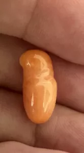Außergewöhnliche Melo Pearl 9,67ct - Bild 1 von 12
