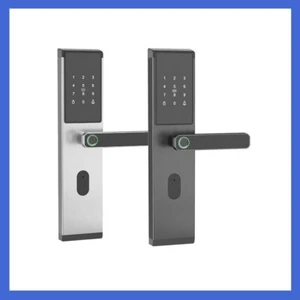 RFID Card Apartment Anti-theft Fingerprint Password Induction Lock+Card - Picture 1 of 9