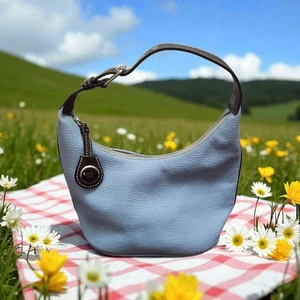 Dooney and Bourke hellblau genarbtes Leder Mini Hobo Riemen & Reißverschluss - Bild 1 von 19
