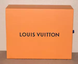 Louis Vuitton Cassettiera arancione per borsa/scarpe scatola vuota 13" - Foto 1 di 8