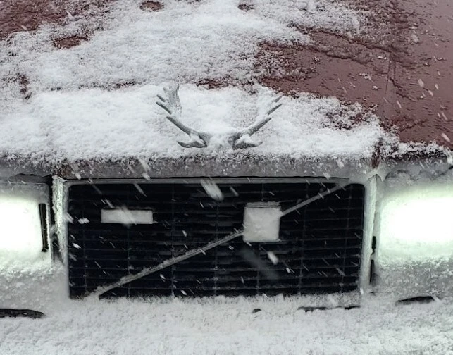 GENUINO Descatalogado VOLVO ASTAS CAPÓ ADORNO  Foto 1 de 2