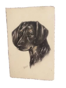 Vintage Dachshund postcard Unposted,  1940s Rare - Picture 1 of 3