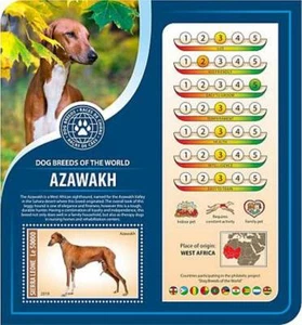 Sierra Leona - Raza de perro Azawakh 2019 - Hoja de recuerdo de sello - SRL190805b - Imagen 1 de 1