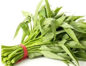 WATER SPINACH KANG KONG SEEDS 200 +Seeds _ Rau Muống - Picture 1 of 2