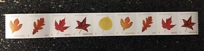 2025USA #5971-5975 Postcard Rate Vibrant Leaves - PNC Coil Strip of 9 - Image 1 of 2
