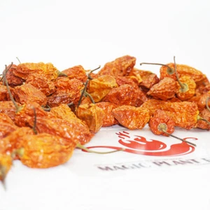 Whole Dry Ghost Chili Pepper (1kg=2.2lb) | Dried Bhut Jolokia Whole Pods - Picture 1 of 3